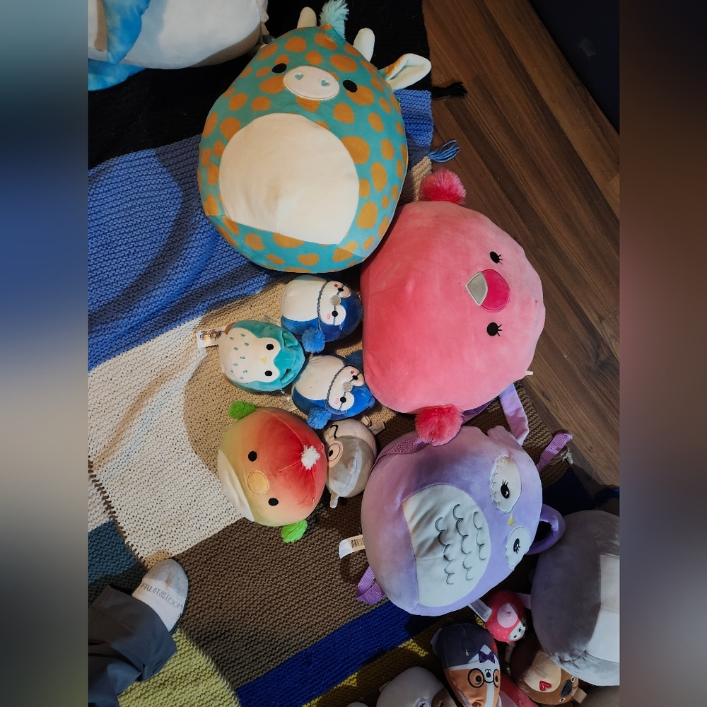 Bird squishmallow bundle